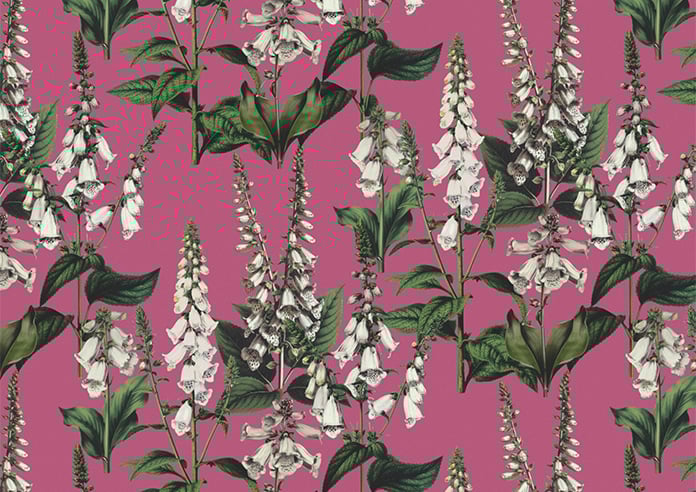 Foxcote, Cosmos - Roller Blind - Image 6